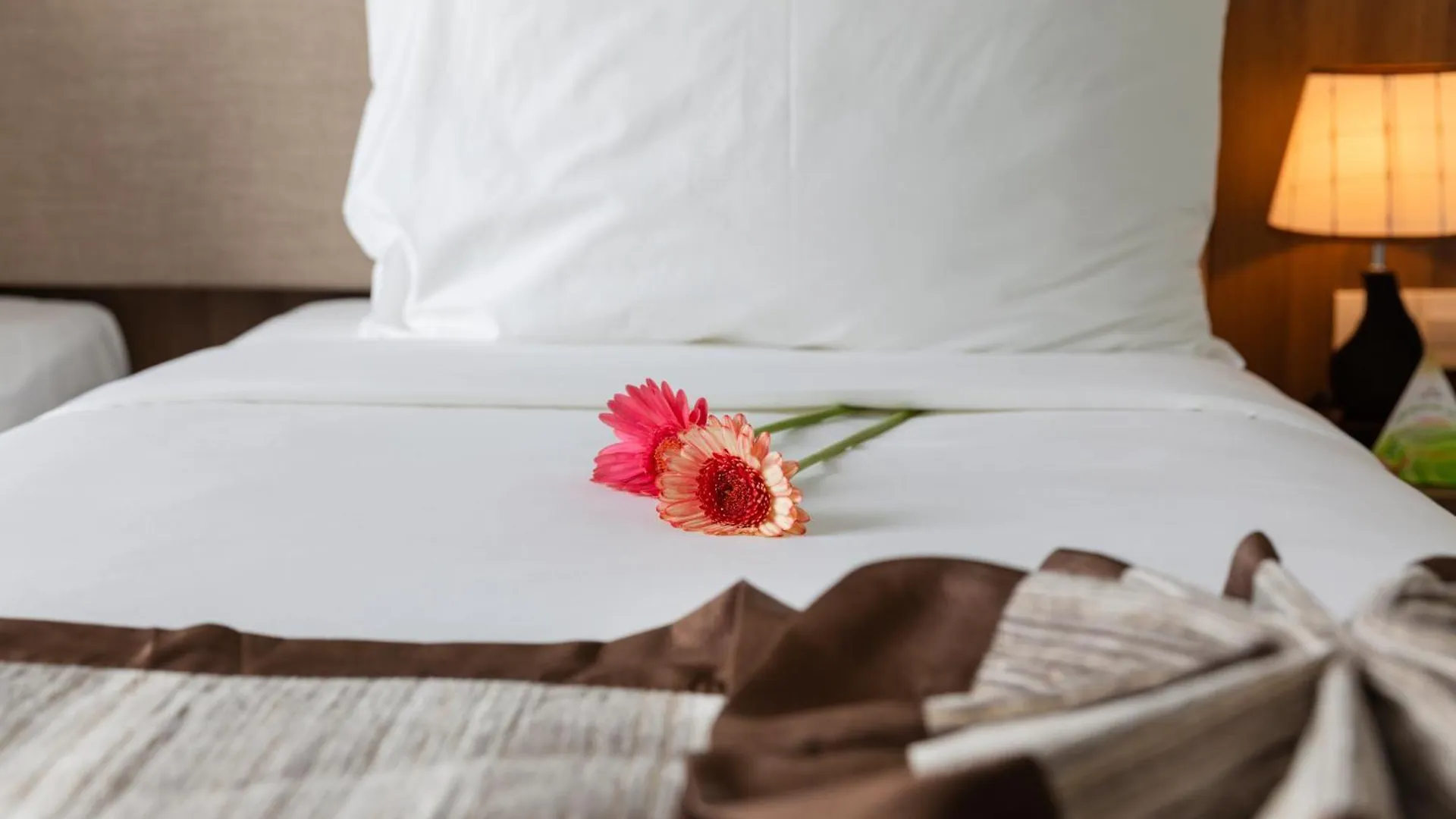 Libra Hotel Nha Trang 4*,